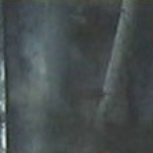 Desde el claro del bosque, obra del artista José Moreno