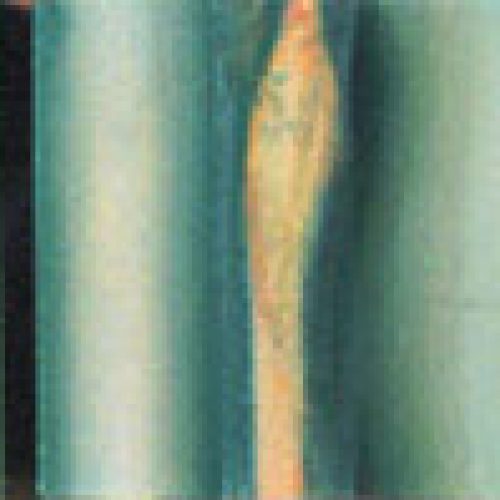 Micronatura, obra del artista José Moreno