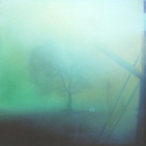 Naturaleza y artificio, obra del artista José Moreno