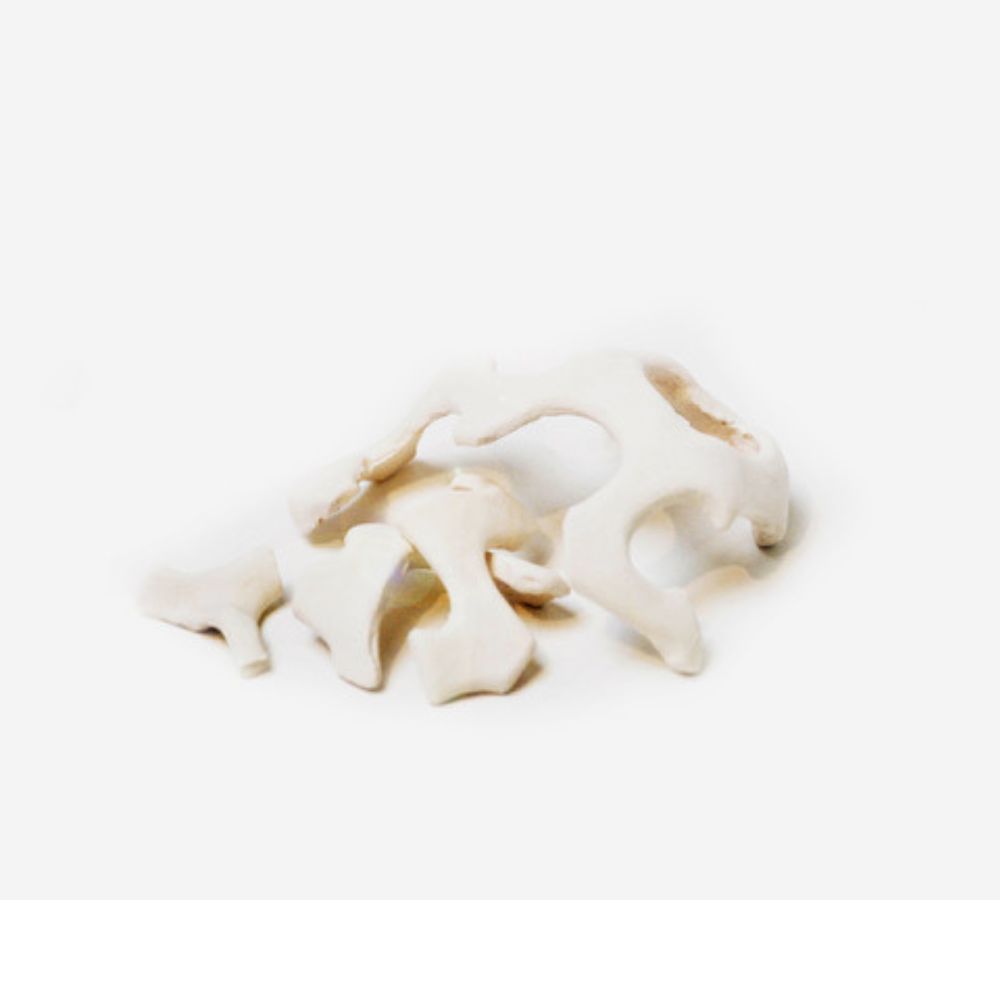 Obras José Moreno (5)